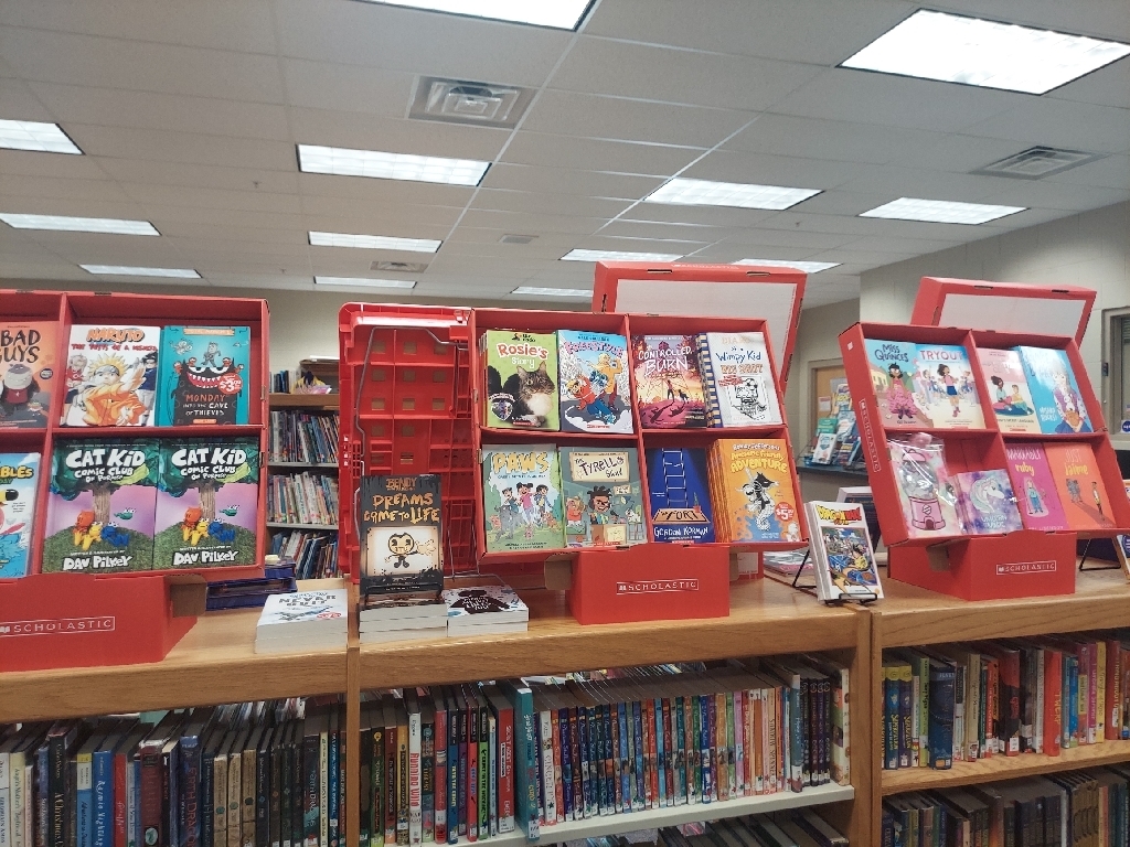 Live Feed Plankinton School District 11