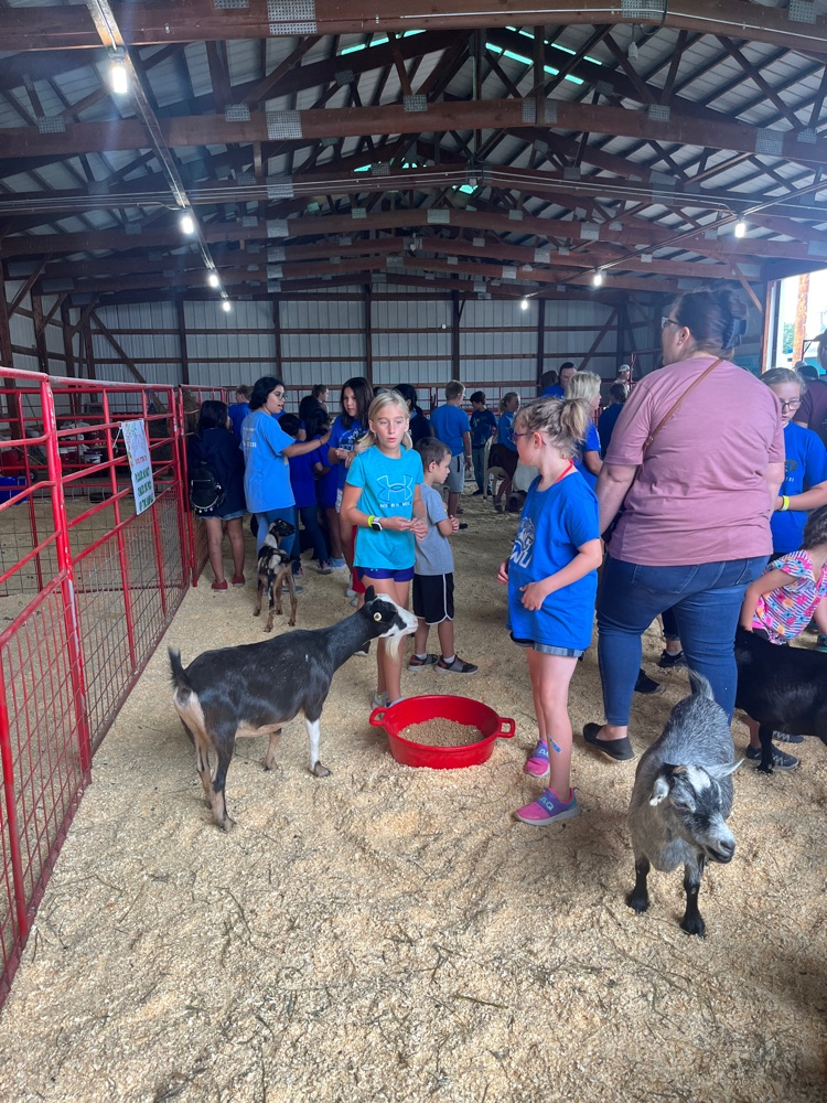 Live Feed Plankinton School District 11