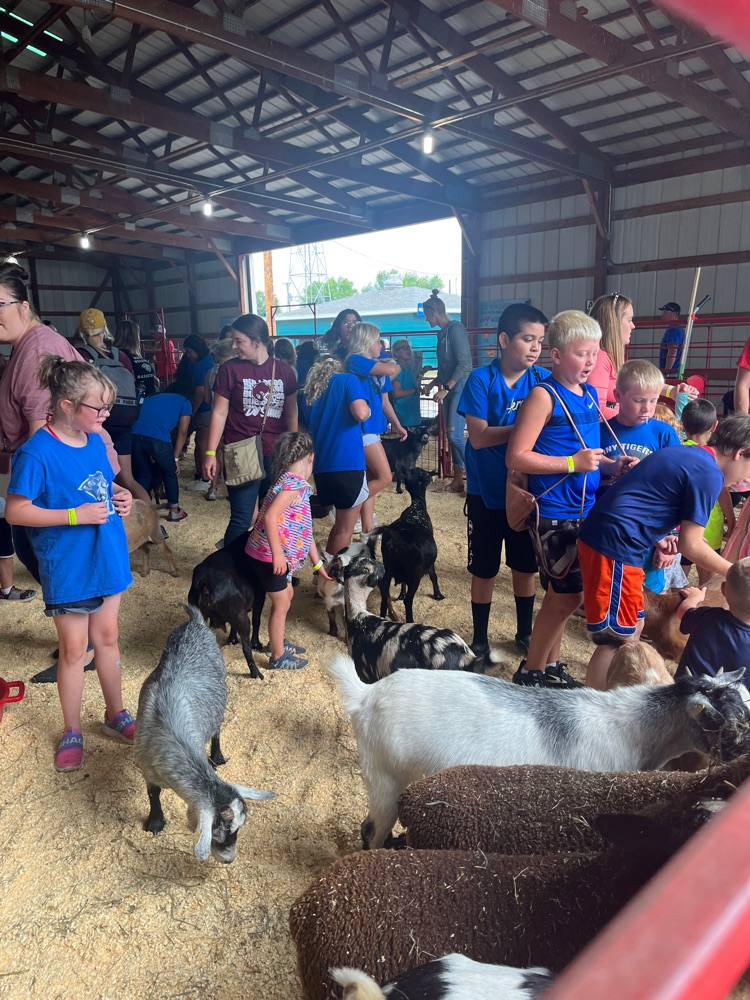 Live Feed Plankinton School District 11