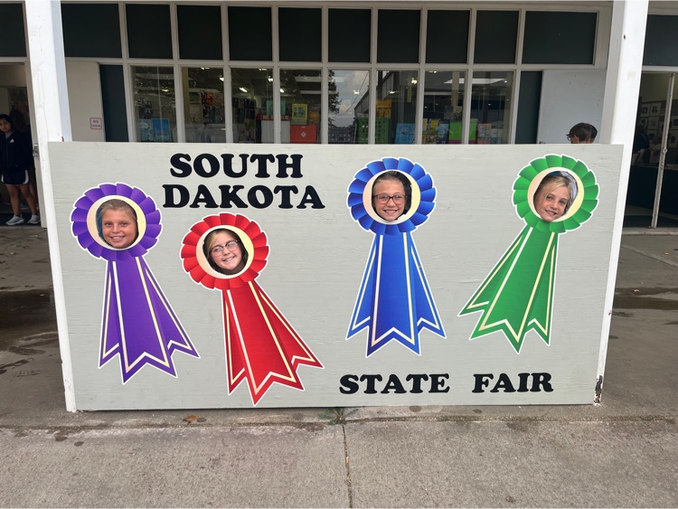 Live Feed Plankinton School District 11